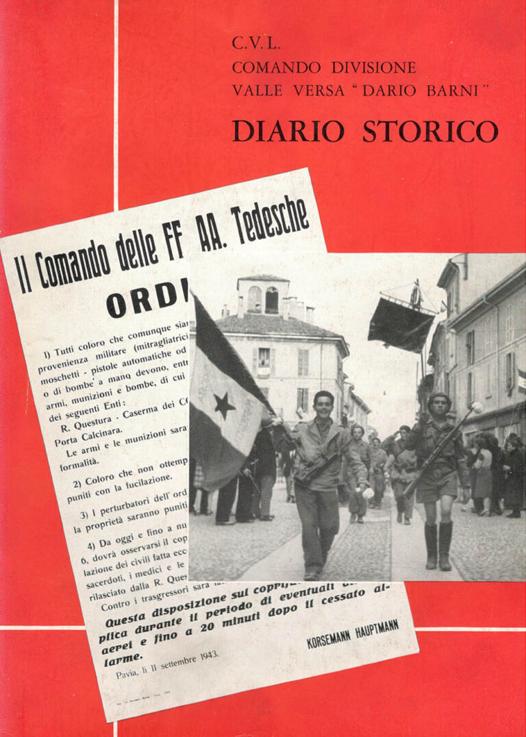 Copertina di Diario storico
